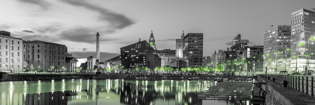 Haley Farrell banner