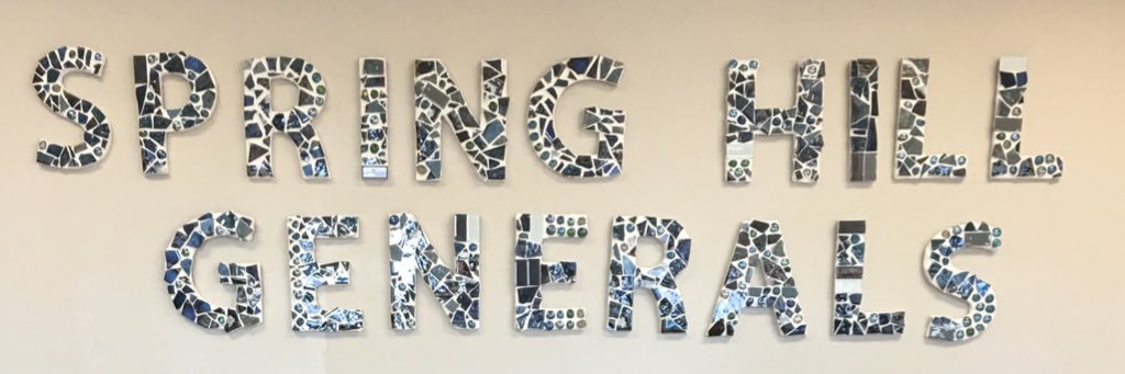 Shanda Sparrow banner