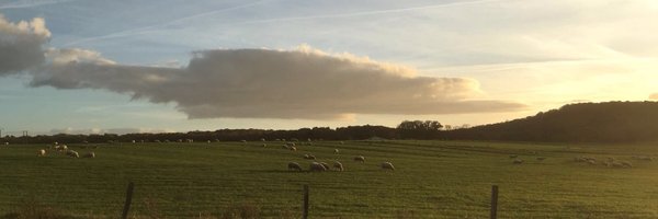 MathildeKnr Profile Banner