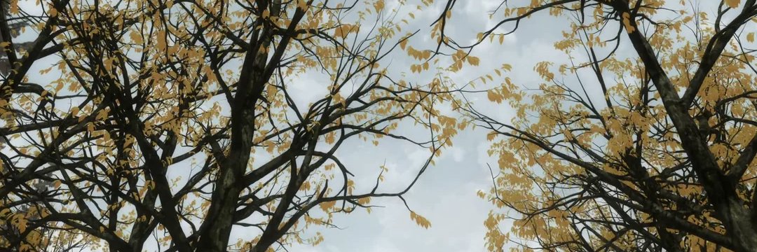 0xprinceton's profile banner image