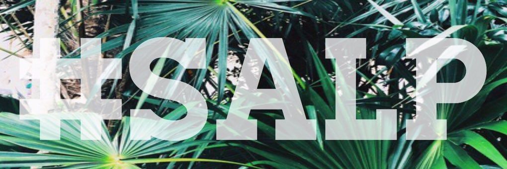 SalseoALaP's profile banner image