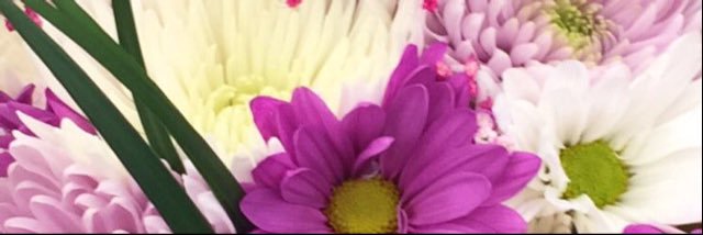 Kara_Cipperley's profile banner image