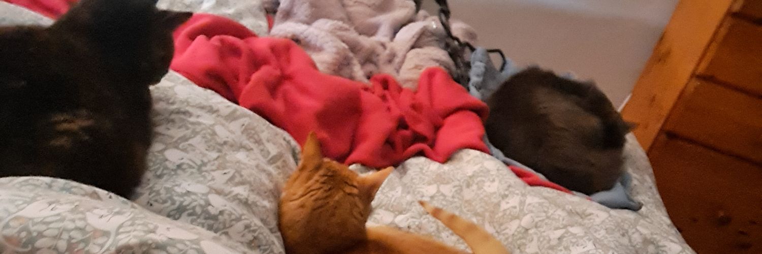 LilyMurray20's profile banner image