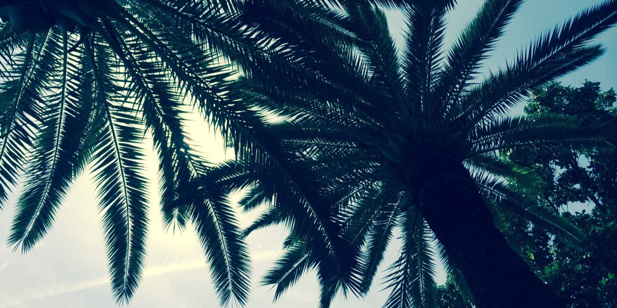 Mel_KFR's profile banner image