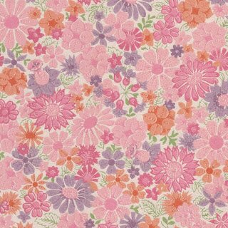 Delia VaPiMe banner
