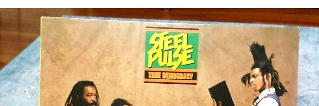 The Voice in the Political Wilderness banner