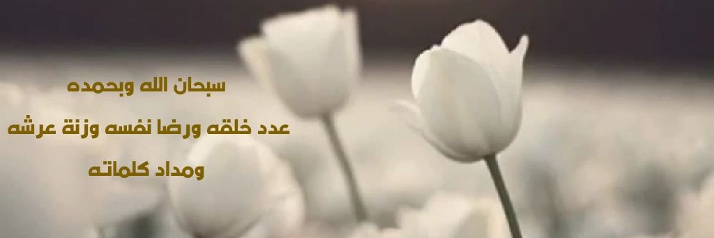 مها عبدالله الكندري. banner
