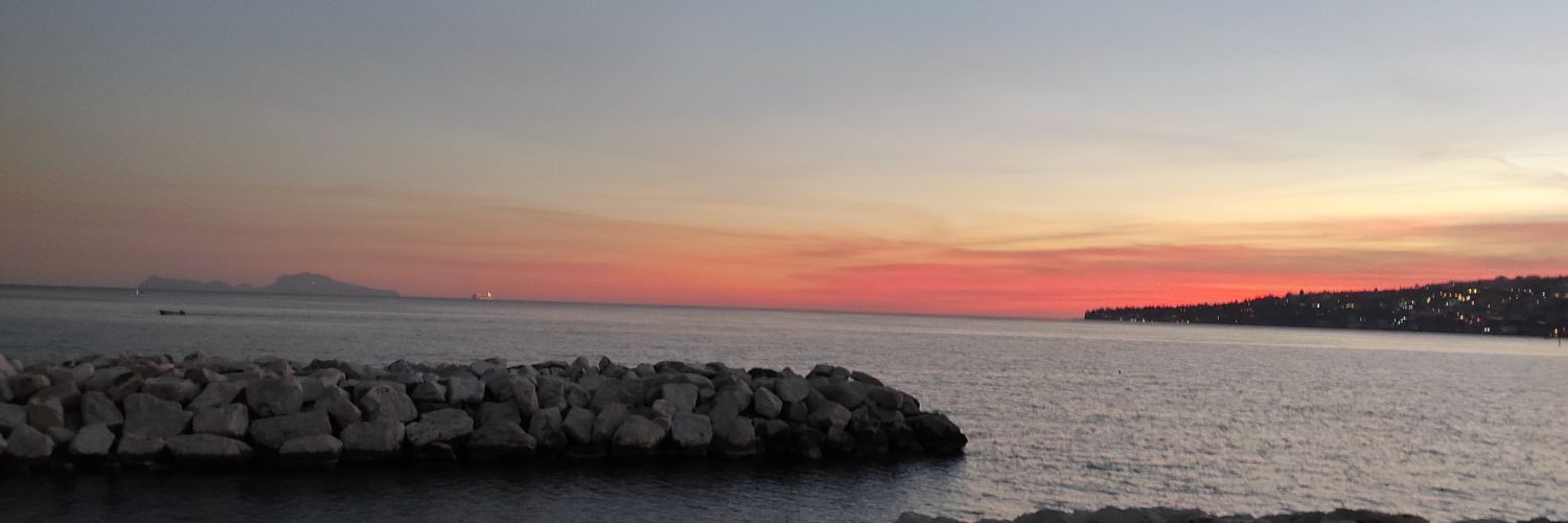 SandroPicarone's profile banner image
