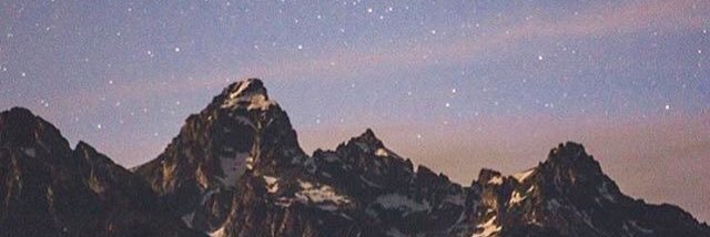 bradyosaurus's profile banner image