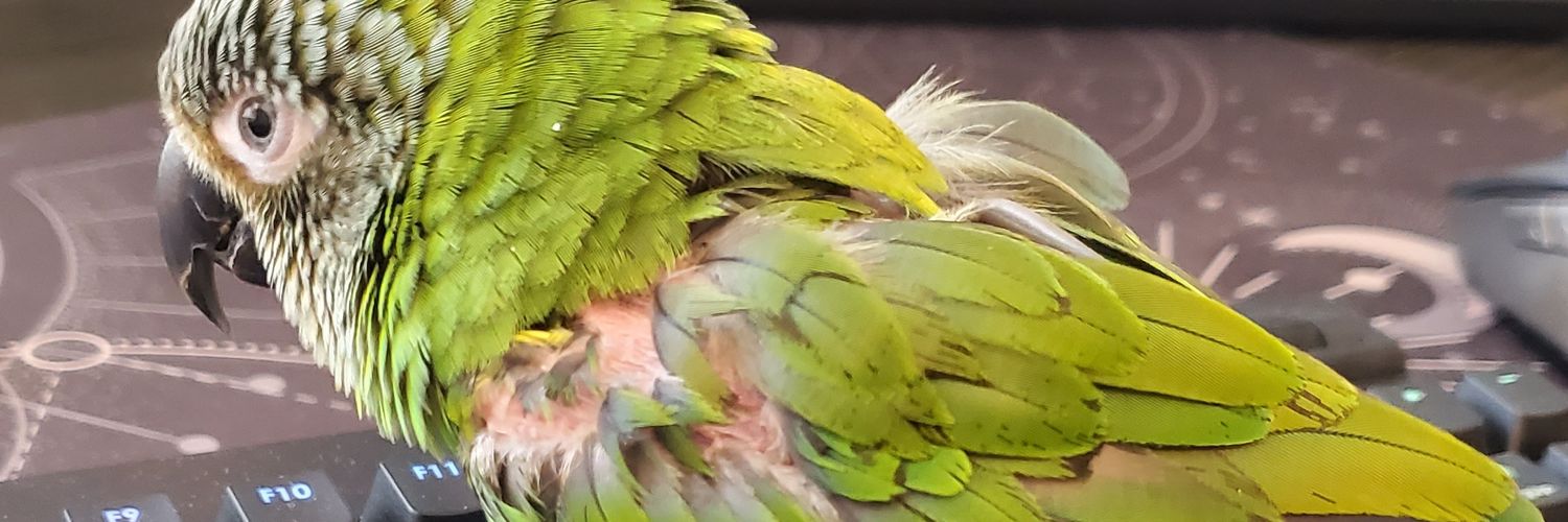 birbibii's profile banner image