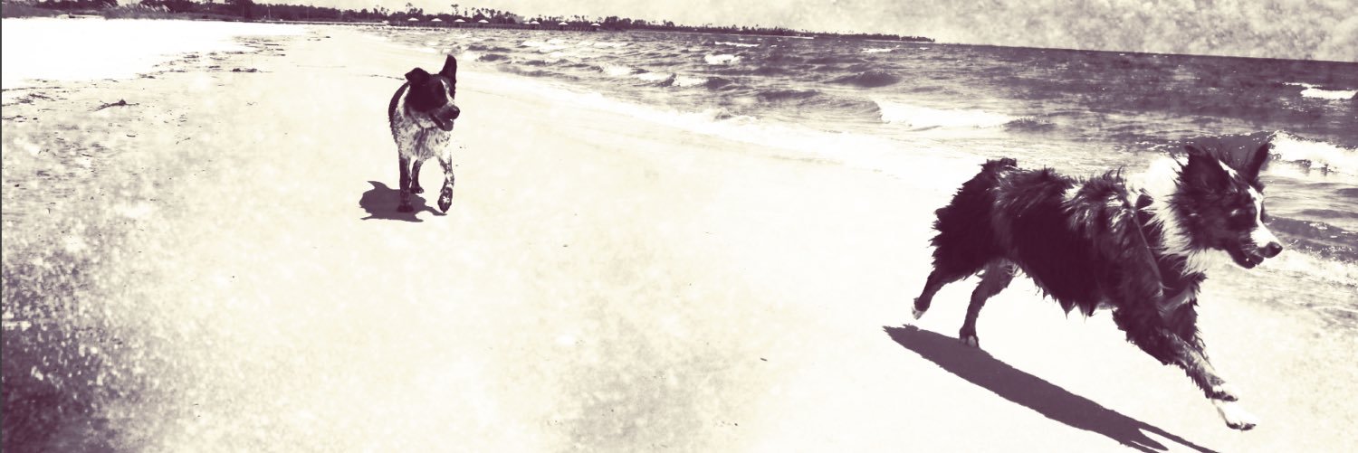WRE19's profile banner image