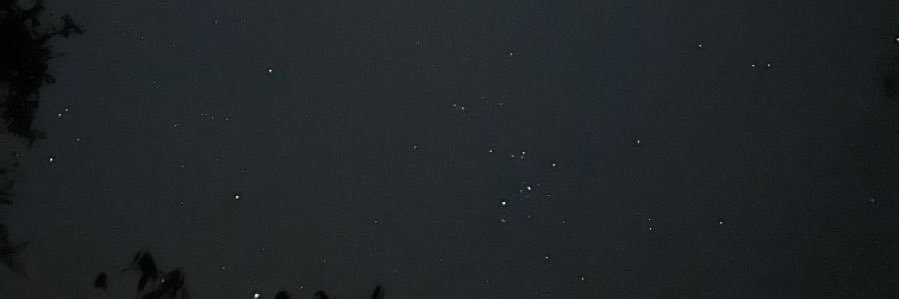 mltmcbn's profile banner image