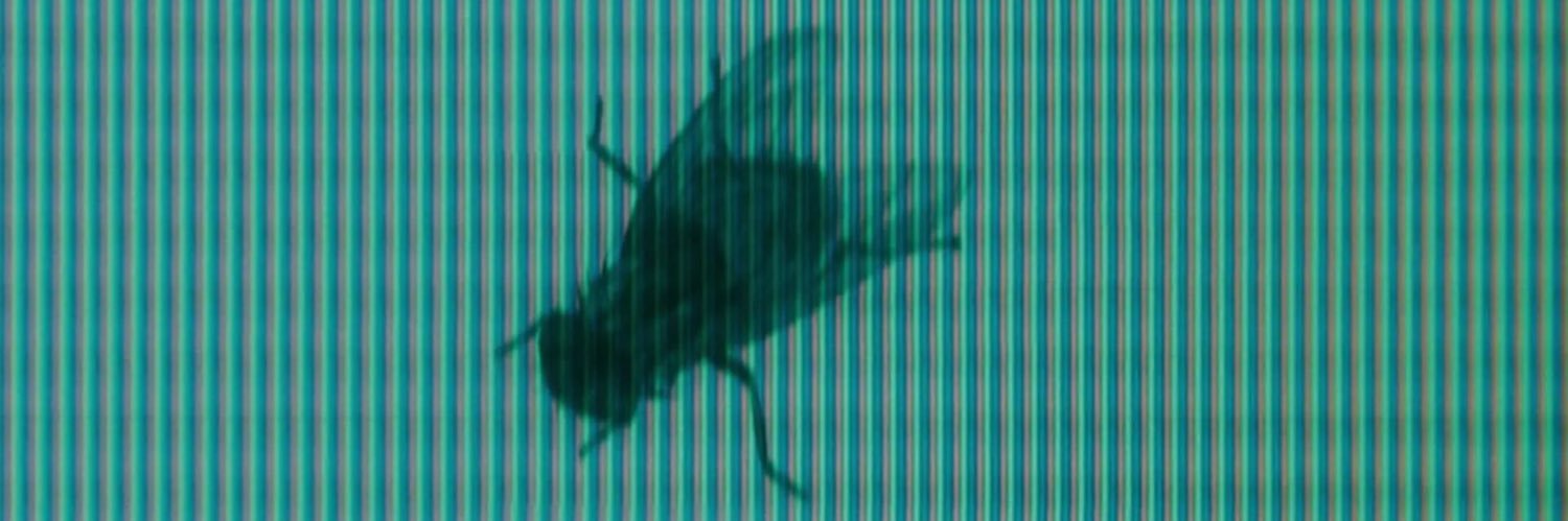 Mostlywatch's profile banner image