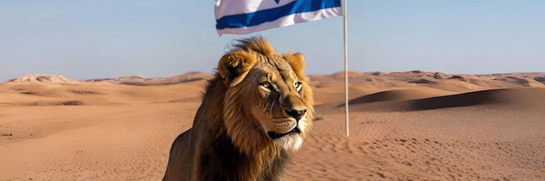Igor Brim 🇪🇸🇮🇱🇺🇦 banner