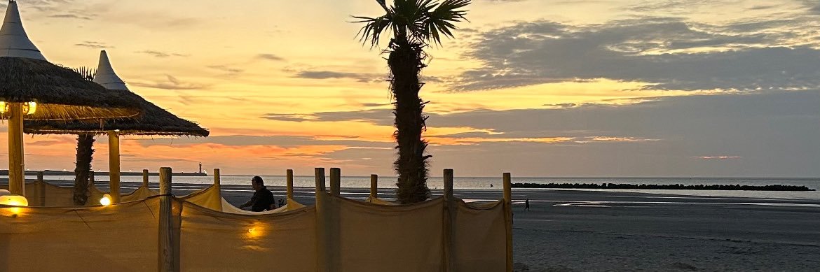 ineskhbr's profile banner image
