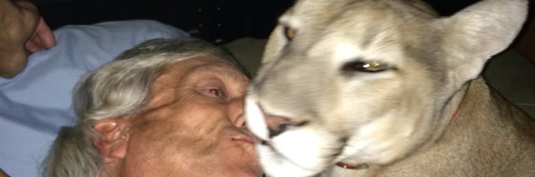 Klaatu Wallachian Prinz banner