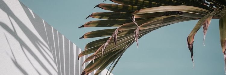 CassandraJaey's profile banner image