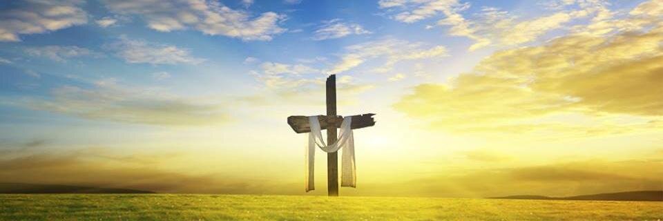 Barbara Goodin banner