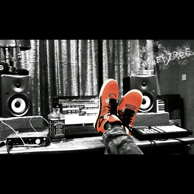 Zodiverse's profile banner image
