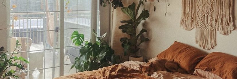 dearrbeloved's profile banner image