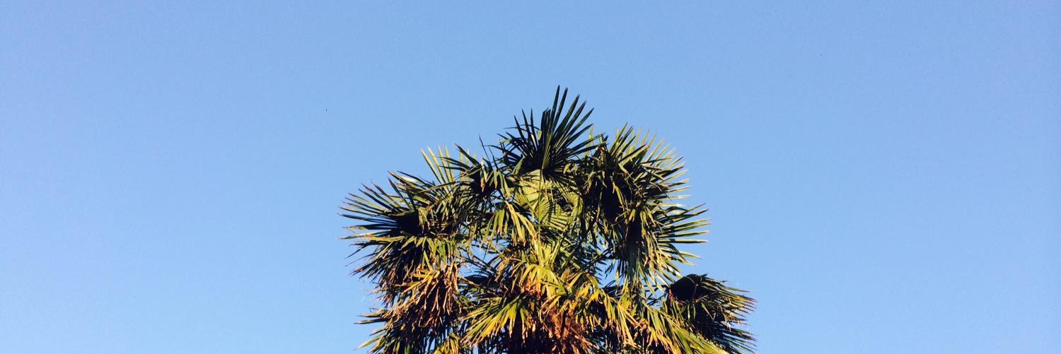 patifierro's profile banner image