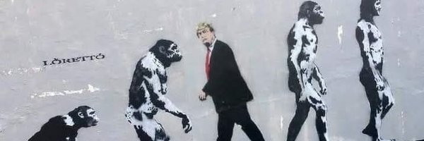 huisdoktertim Profile Banner