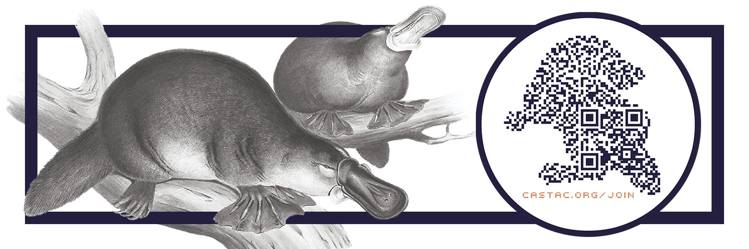 CASTAC's banner