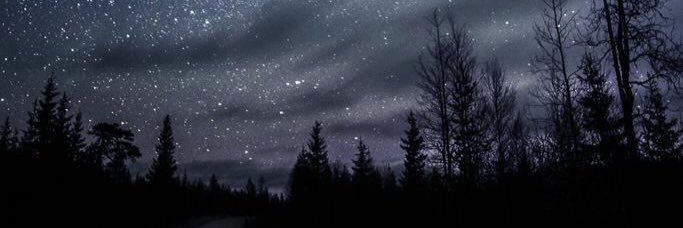 Dylan_Daridi's profile banner image
