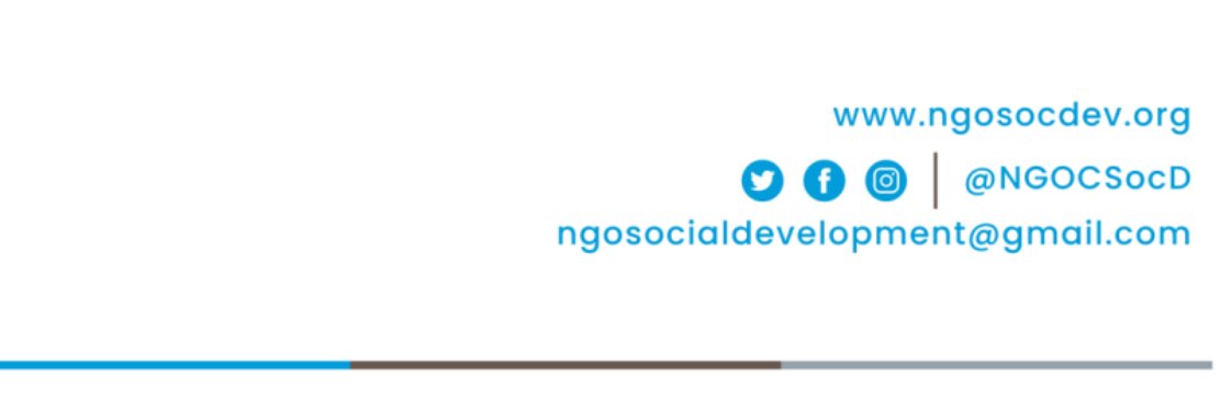 NGO Committee for Social Development banner