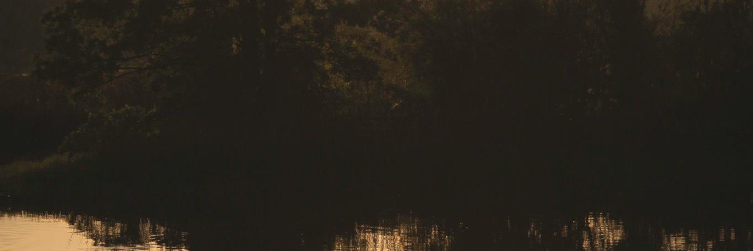 AmandaRCromer's profile banner image