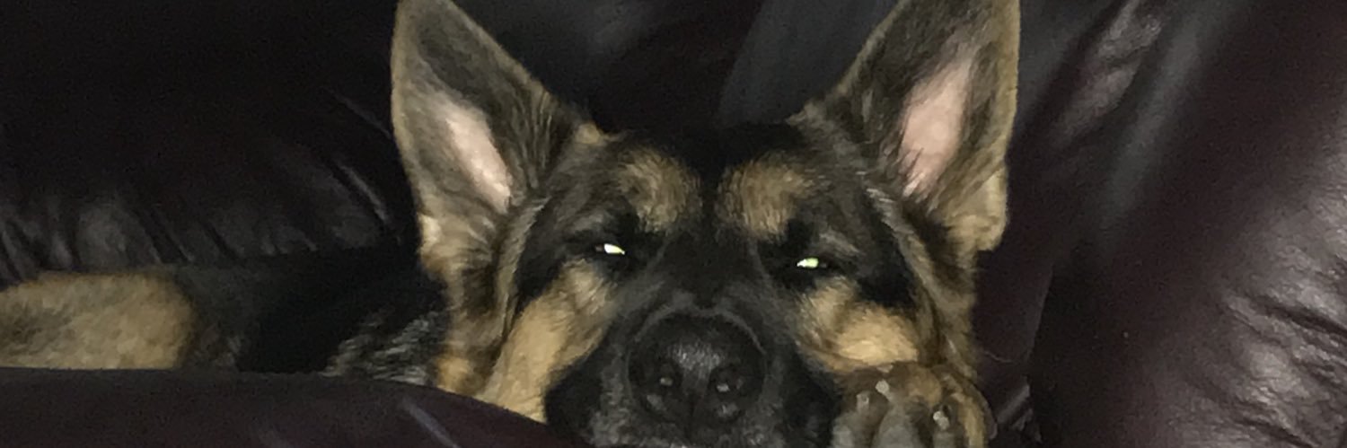 CatinaGomez's profile banner image