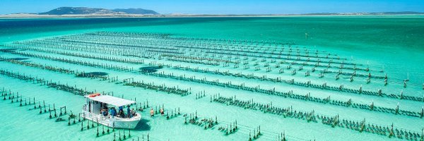 Experience Coffin Bay Profile Banner