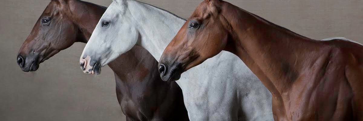 osborne_studio's profile banner image