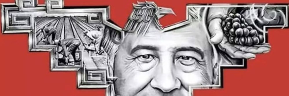 RaiderNation559 banner