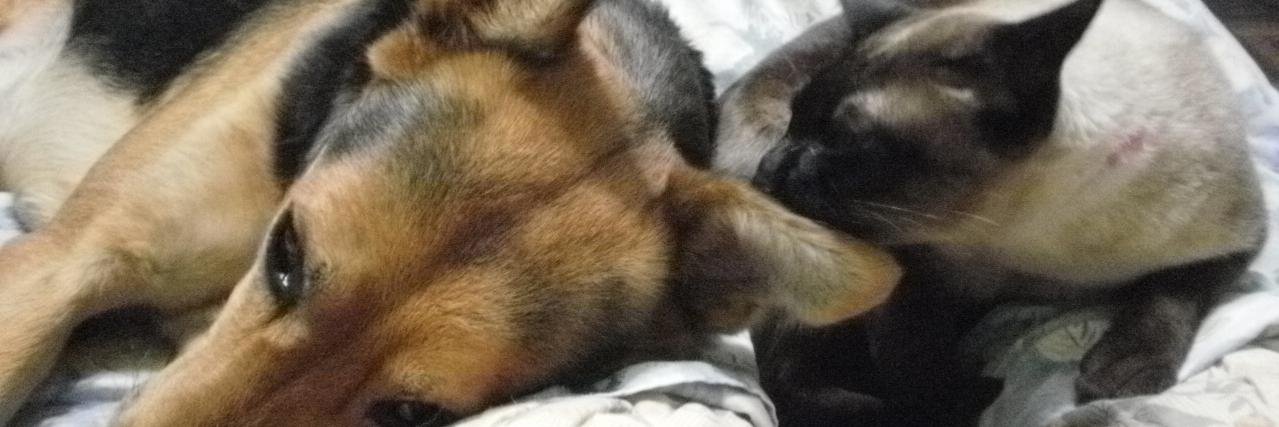 RAQUEL TERESITA MAITA banner