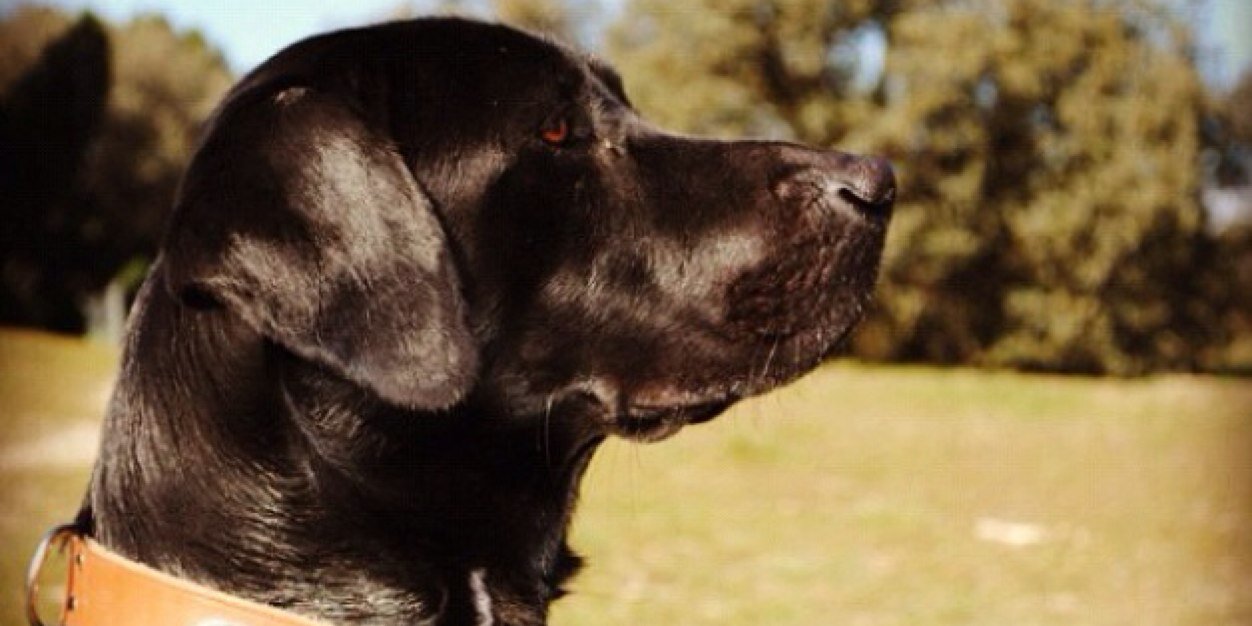 marinagonza92's profile banner image