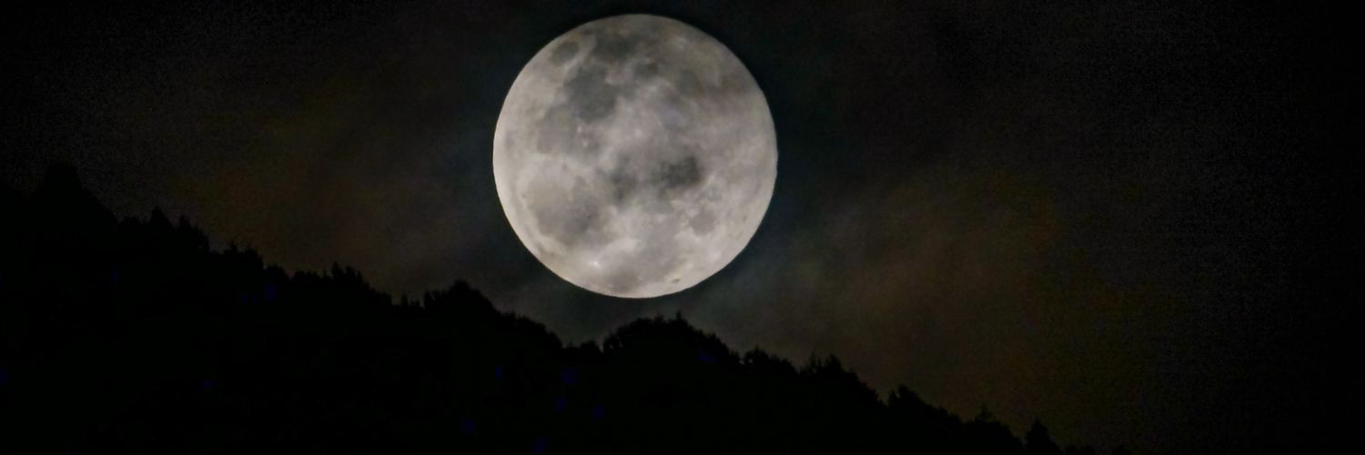 SiSoyForanea's profile banner image