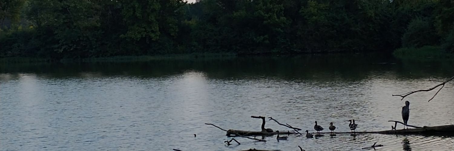 ChrisCrossing's profile banner image