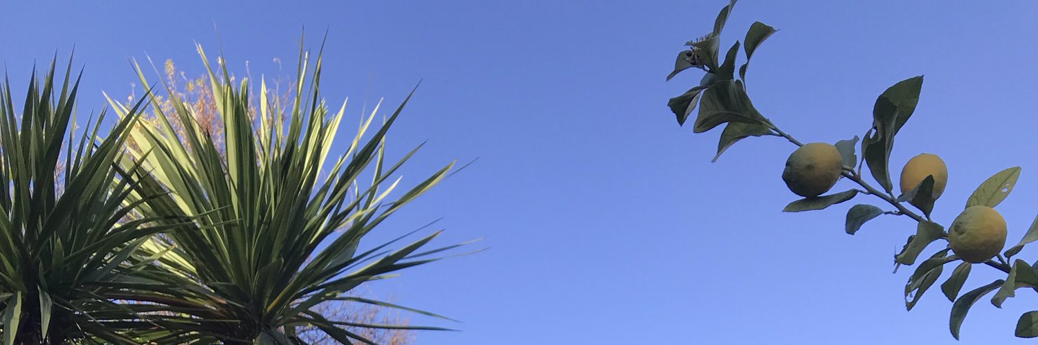 Nathalie Biau banner