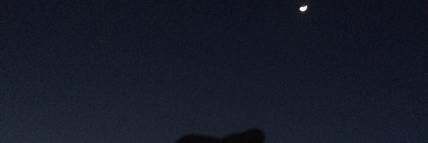 sofiafranco22's profile banner image