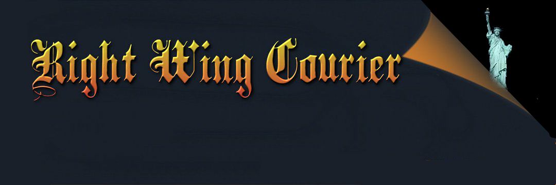 WingManFighters's profile banner image