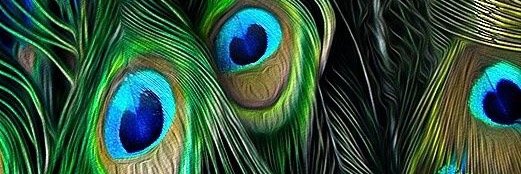 beavsss's profile banner image