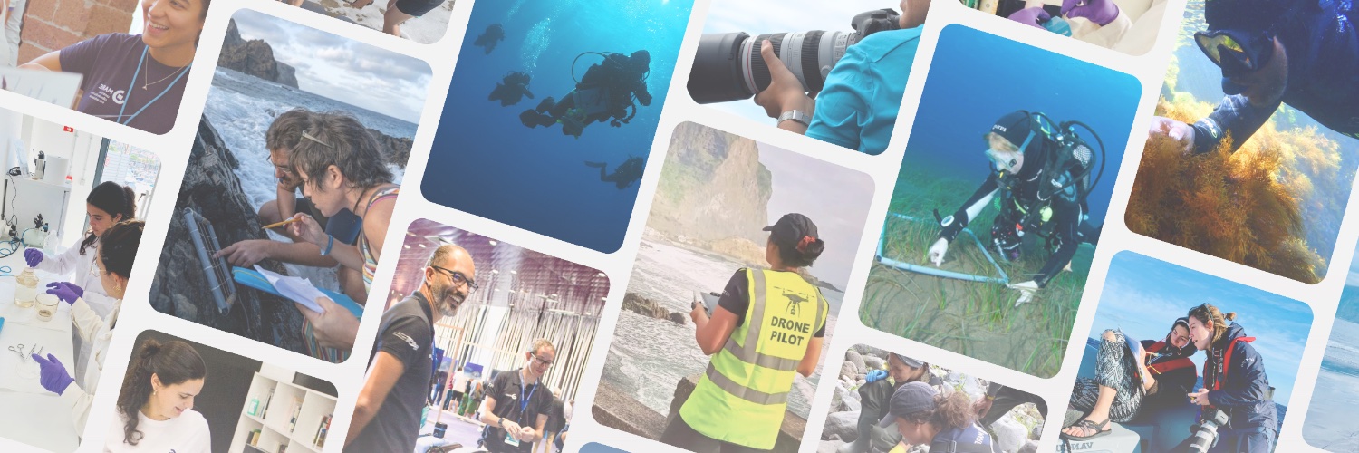 MARE_Madeira's profile banner image