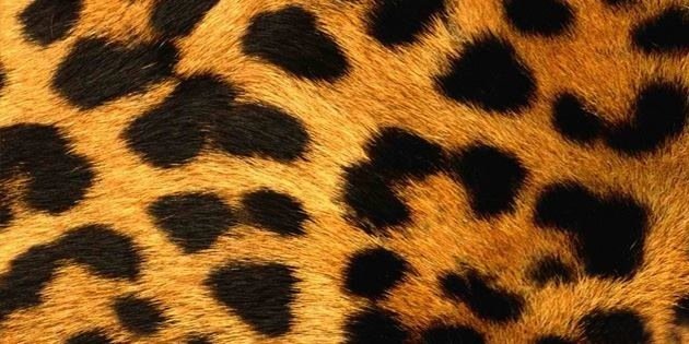 gabiizooona's profile banner image