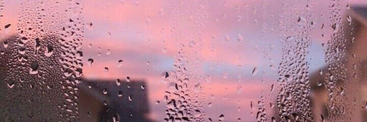 sindysanchez_'s profile banner image