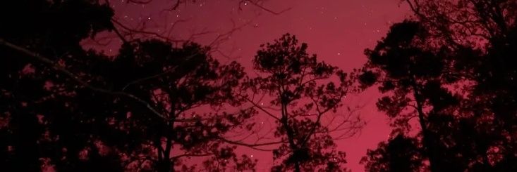 saGexwilliams's profile banner image
