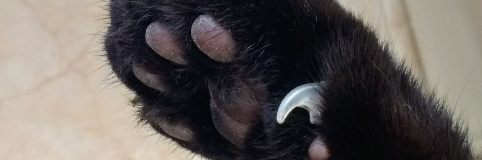GermenBrioleta's profile banner image