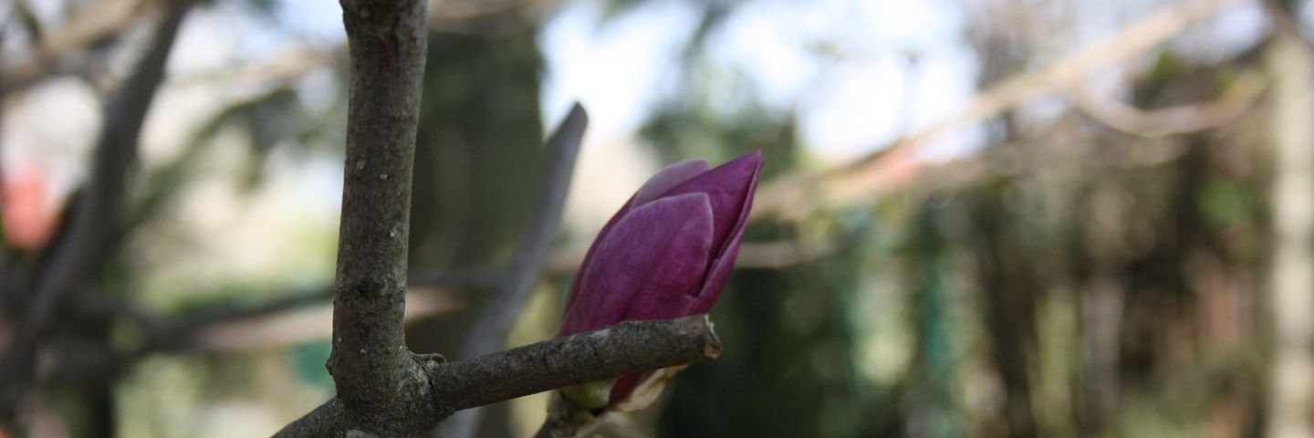 md_quer's profile banner image