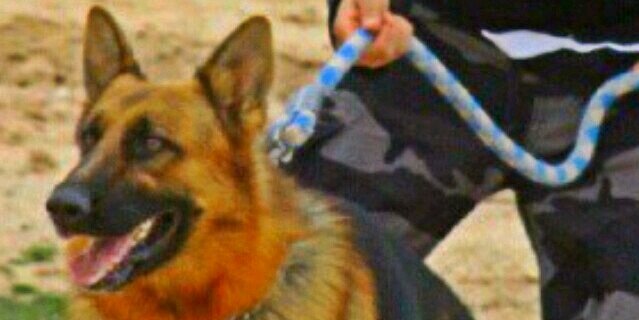 BoKndar's profile banner image
