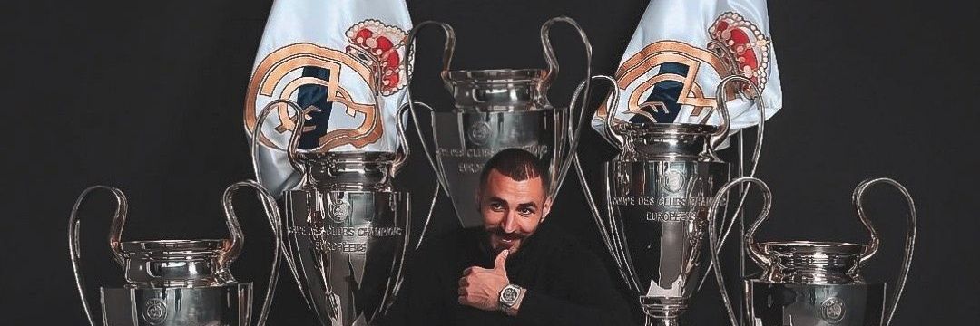 VIKES🐨 banner